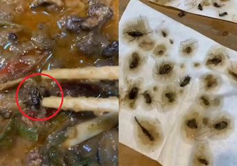 Pesan Makanan via Online, Wanita ini Terkejut Saat Temukan 40 Bangkai Kecoa di dalam Supnya!