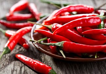 Harus Tahu, Inilah Jenis-jenis Cabai yang Biasa Digunakan Untuk Masak