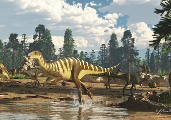 Wah, Ada Penemuan Dinosaurus Seukuran Walabi di Australia, lo!