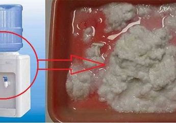 Auto Nyesel Karena Sering Diabaikan, Ternyata Membersihkan Dispenser Bisa Dilakukan dengan Mudah Tanpa Perlu Dibongkar