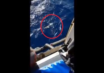 Terhempas Sejauh 32 KM dan Hilang Selama 3 Jam di Laut, Cowok Ini Selamat Pakai Trik Celana Jeans!