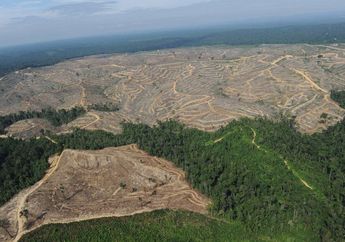 5 Warisan Alam yang Terancam Menurut UNESCO, Indonesia Salah Satunya