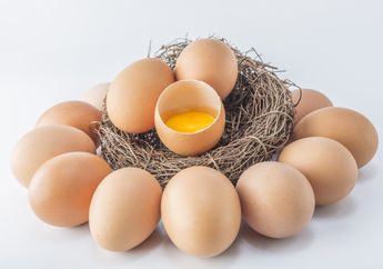 Sempat Bikin Harga Telur Ayam Jatuh, Apa Bedanya Telur Ayam Infertil dengan Telur Ayam Ras?
