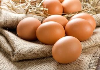 Butuh Konsumsi Protein Namun Bosan dengan Telur? Coba 7 Makanan Ini