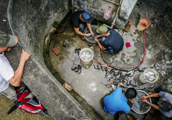 Daging Tikus Laris Manis Jadi Makanan Sehari-hari di Vietnam dan India, Harganya Lebih Mahal dari Ayam!