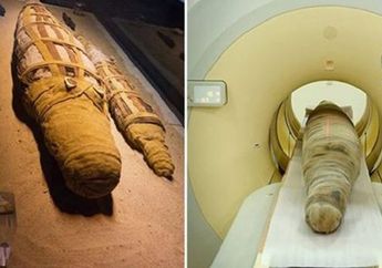 Mumi Mesir Kuno Berhasil Ditemukan, Setelah Diperiksa Ilmuwan Kaget karena di Dalamnya Bukan Manusia!
