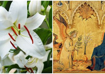 Sejarah Bunga Lily Putih dan Bunga Bakung Identik dengan Perayaan Paskah, Ternyata dari Ini