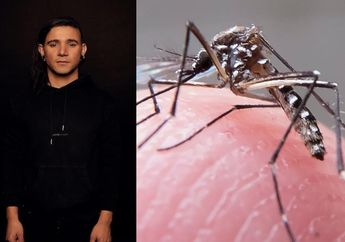 Ajaib! Lagu Skrillex Terbukti Ampuh Usir Nyamuk Demam Berdarah, Ini Kata Para Pakar