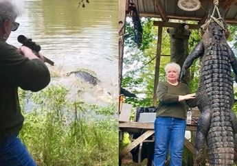 Tak Terima Kudanya Dimakan Buaya, Nenek Asal Texas ini Berhasil Tangkap Buaya Raksasa Sendirian