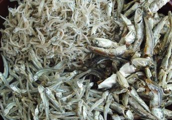 Sering Diremehkan, Ternyata Ikan Teri Termasuk Dalam Makanan yang Mampu Meningkatkan Kecerdasan Otak!