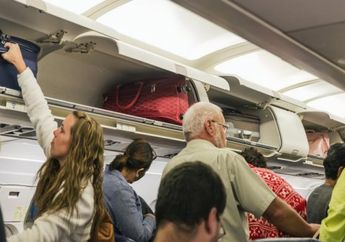 'Kura-Kura' Terbang Hingga Rebutan Kabin Karena Pepaya, Berikut Cerita Lucu dan Berbahaya di Dalam Pesawat