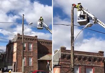 Sudah Berbaik Hati Selamatkan Kucing yang Sedang Terjebak, Pria Ini Malah Diskors 3 Minggu oleh Tempat Kerjanya