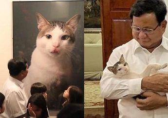 Bobby Kertanegara, Kucing Istimewa Prabowo yang Dibawa Saat Jenguk Sandiaga Uno