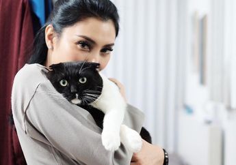 Nggak Kalah Eksis dari Tyas Mirasih, Kucing Peliharaannya Makin Hits Sampai Dibuatkan Akun Instagram Sendiri
