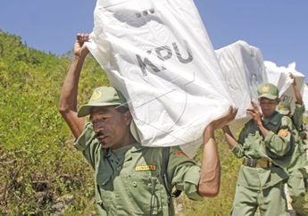 Mulai dari Seberangi Laut Hingga Pikul Logistik, Begini Perjuangan Petugas Demi Lancarnya Pemilu 2019