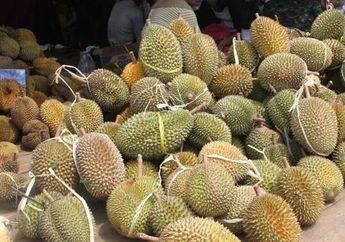 Viral, Wanita di Tangerang Pamerkan Kiriman Buah Durian Gundul dari Ortunya di Kampung, Ternyata Ini Alasan Semua Durinya Dibotakin
