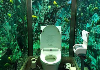 Interior Unik, Toilet di Dalam Kafe Ini Berdinding Akuarium Penuh Ikan