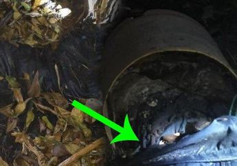 Diduga Sudah 3 Bulan, Identitas Mayat Dalam Ember Masih Jadi Misteri