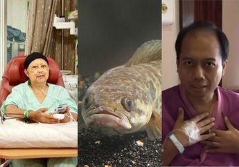 Sutopo Pernah Rekomendasikan Makan Ini Pada Ani Yudhoyono Usai Kemoterapi, Ternyata Ikan ini Juga Jadi Menu Sahur Favorit Joko Widodo!