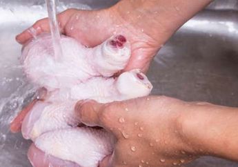  Selama Ini Salah Kaprah, Mencuci Daging Ayam Mentah Sebelum Diolah Justru Akan Berakibat Fatal, Berikut Penjelasannya!