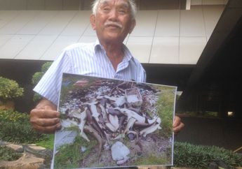 Miris! Ratusan Hiu yang Mati Mendadak di Karimunjawa Ternyata Diracun dengan Pestisida