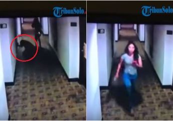 Viral, Video Detik-detik Tewasnya Bos BUMN Usai Ngamar, Pingsan di Lorong Hotel hingga Ditinggal Pergi Si Wanita Muda
