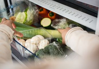 Waspada! Banyak Menyimpan Makanan di Kulkas saat Karantina akan Membuat Kulkas Bau hingga Makanan Terinfeksi Bakteri Langka, Begini Mengatasinya