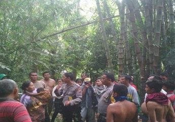 5 Hari Tak Kunjung Pulang, Ketua KPPS Tapanuli Utara Ditemukan Tak Bernyawa dan Sudah Membusuk di Hutan