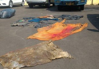 Misteri Jasad Wanita di Tumpukan Sampah Waduk Pluit, Sudah Membusuk 1 Bulan Tapi Tak Ada Keluarga yang Mencari