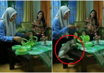 Viral Kucing Dilempar Sampai Terbentur Demi Adegan Sinetron Azab, Pecinta Hewan Geram dan Berikan Surat Terbuka