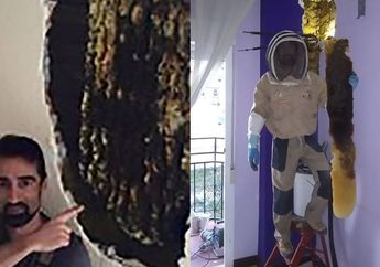 Tembok Rumahnya Mengeluarkan Suara Aneh, Saat Dibongkar Pria ini Terkejut Mendapati Isinya