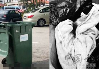 Mengharukan, Seekor Anjing Berhasil Selamatkan Bayi Merah yang Dibuang di Tempat Sampah!