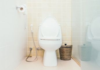 Perbandingan Toilet Duduk VS Toilet Jongkok, Mana yang Lebih Baik untuk Kesehatan? 