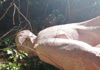 Merasa Tak Tau Apa-apa, Dua Pengurus Partai Komunis DIhukum Berat Setelah Patung Mao Zedong di Daerahnya Tiba-tiba  Roboh