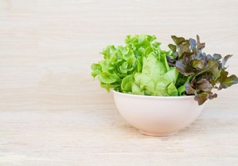 Tidak Hanya untuk Campuran Salad atau Lalapan Saja, Daun Selada Juga Miliki Manfaat Kesehatan untuk Rambut, Kulit, dan Tubuh