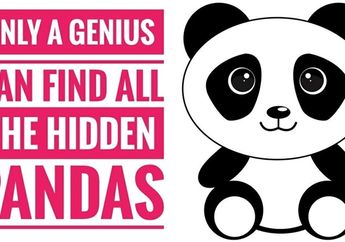 Latih Ketelitian dan Fokus dengan Bermain Mencari Panda Tersembunyi! Siap Mencoba?