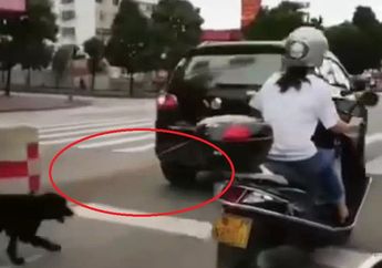 Bikin Masyarakat Marah, Pria Ini Tega Menyeret Anjing yang Baru Diadopsinya Menggunakan Mobil Hanya Karena Bau!