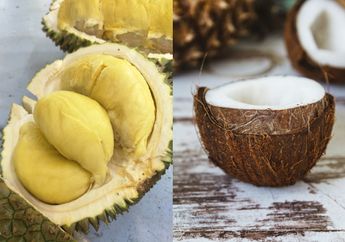 Fitnah! Durian dan Santan Tidak Mengandung Kolesterol, Pakar Tepis Mitos yang Beredar