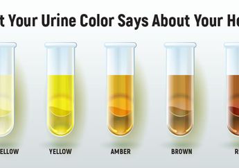 Coba Cek, Urine yang Berbusa Bisa Jadi Tanda Penyakit Berbahaya!