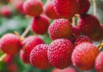 Diduga Akibat Leci Beracun, 53 Anak di India Meregang Nyawa