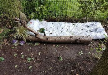 Bikin Kaget! Mulai dari Sekolah SD hingga Hotel Dicurigai Jadi Tempat Prostitusi Tapi Saat Digerebek Tak Ada PSK, Ternyata Sembunyi di Sini