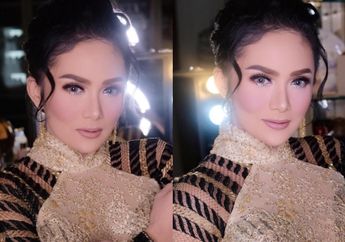 Berhasil Rebut Satu Kursi DPR di Senayan, Krisdayanti Habiskan Dana Rp 2 Miliar hingga Nyanyi Gratis Sambil Bawa Toa di 500 Titik