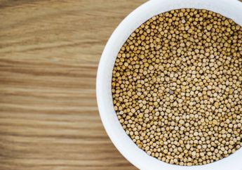 Minum Rendaman Air Biji Ketumbar untuk Cegah Diabetes, Ternyata Bermanfaat Juga Mengobati Masalah Kesehatan Lain