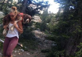 Temukan Anjing Terluka Saat Mendaki Gunung, Wanita Ini Rela Urungkan Niat ke Puncak dan Bawa Hewan 24 Kilogram Itu di Pundaknya