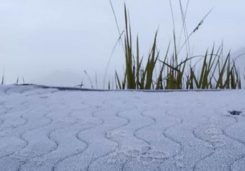 Dibalik Keindahan Fenomena Frost Atau Embun Beku di Gunung Bromo, Ada Bahaya yang Mengintai