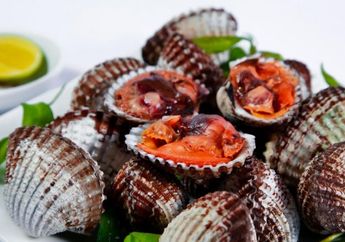Suka Makan Kerang? Ini 7 Manfaat Untuk Kesehatan & Kecantikan Kulit!