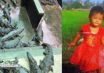 Lepas dari Pantauan Orang Tua, Bocah 2 Tahun Tewas Mengenaskan Setelah Jatuh ke Kandang Buaya Peliharaan Ayahnya