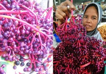 3 Manfaat Buah Parijoto, Tanaman yang Dipercaya Bisa Mengatasi Masalah Sulit Hamil