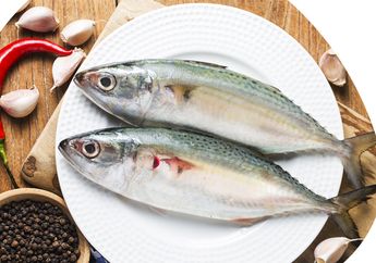 Fakta Unik Ikan Kembung, Ternyata Memiliki Kandungan Omega 3 Lebih Tinggi dari Ikan Salmon!