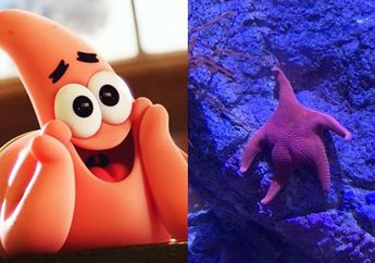 Bak Patrick Star di Kehidupan Nyata, Foto Bintang Laut ini Viral Karena Miliki 'Bokong'